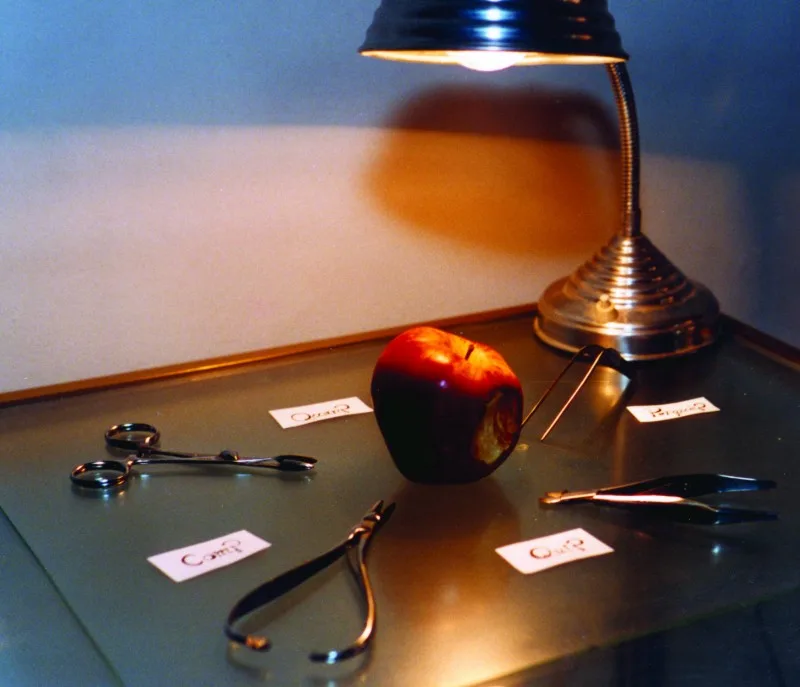 /images/13-Interrogatorio.webp