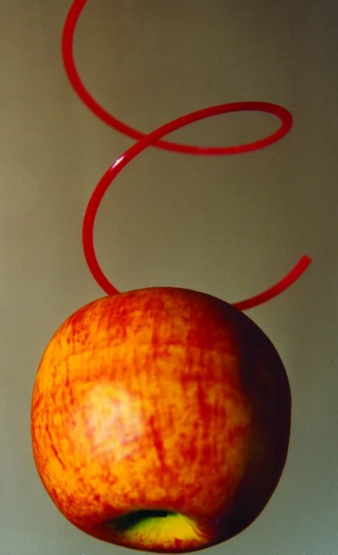 /images/24-Pomting.webp